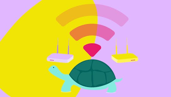 A tortoise, surrounded by routers, with wifi signal coming from its shell