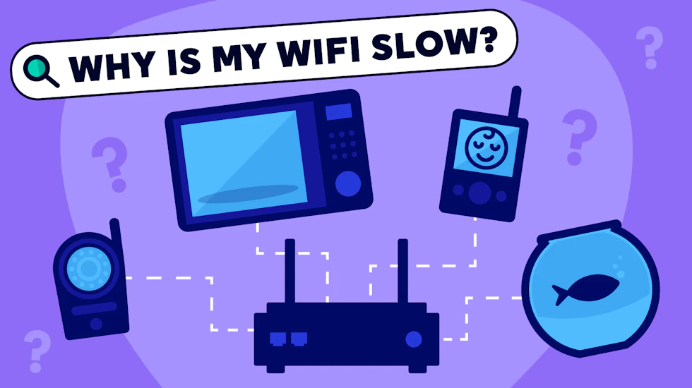 A search box reading 'Why is my WiFi slow?' with a few items that might eb the cause, such as a microwave, a baby monitor and a fish tank